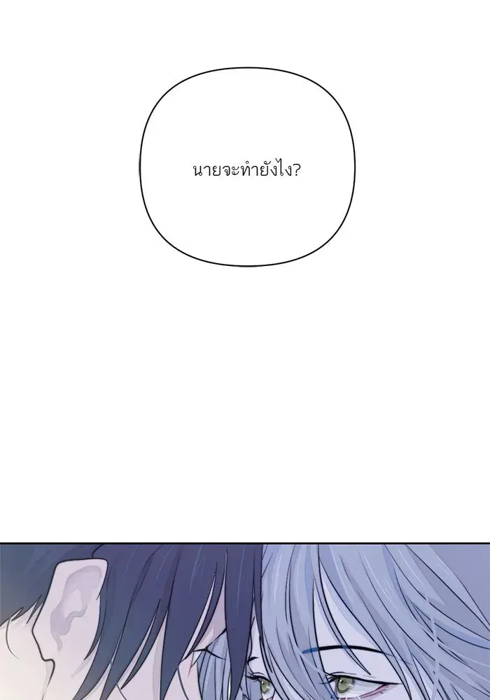 หน้า 95