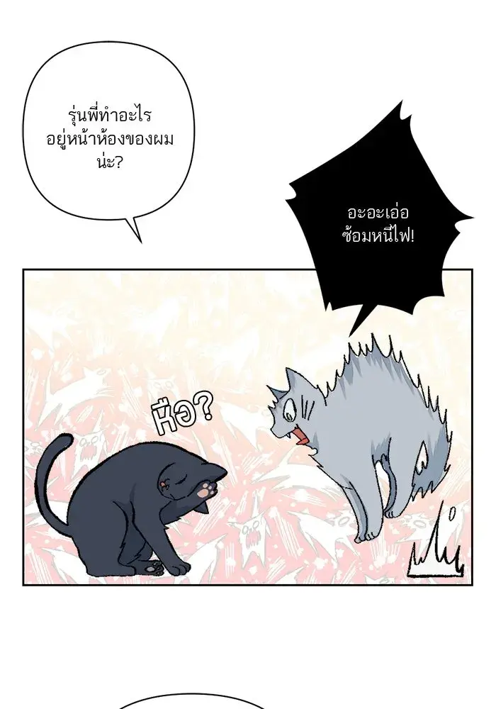 หน้า 47