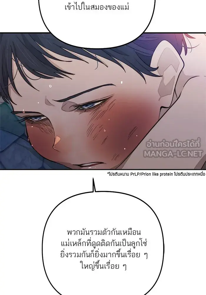 หน้า 30