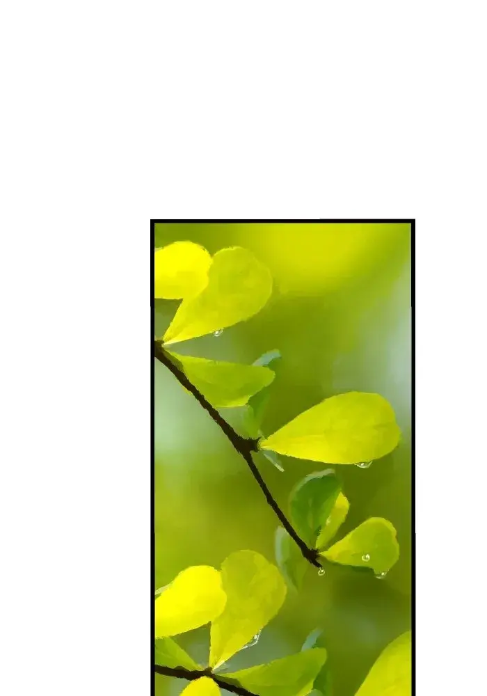 หน้า 115
