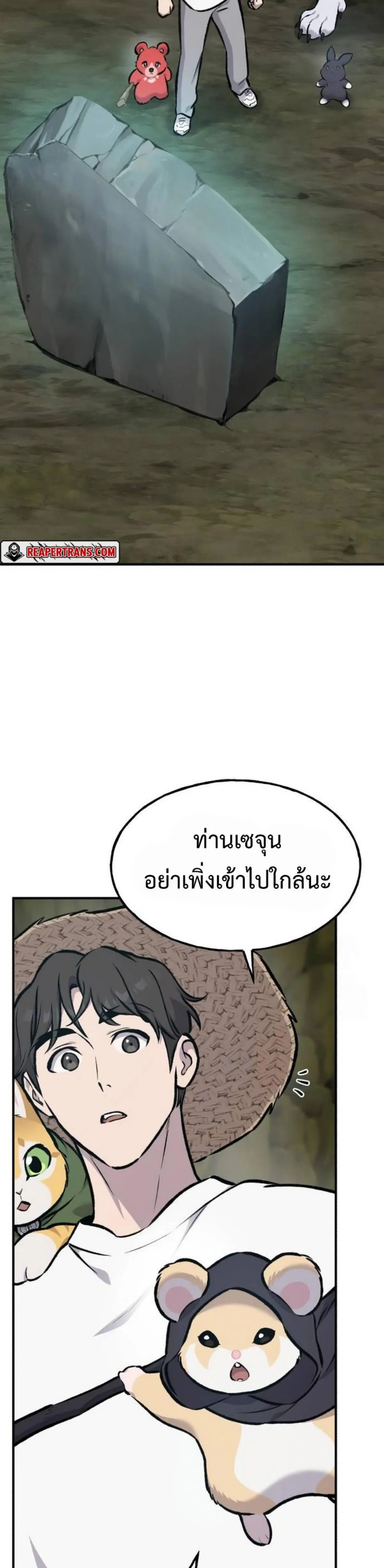 หน้า 29